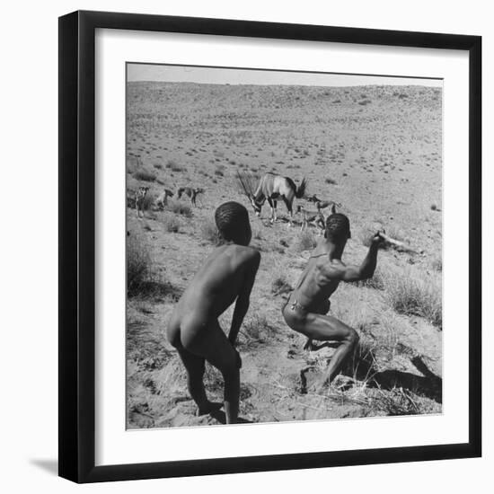 Bushman Throwing His Spear at a Winded Gemsbok-Nat Farbman-Framed Photographic Print