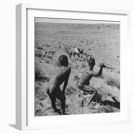 Bushman Throwing His Spear at a Winded Gemsbok-Nat Farbman-Framed Photographic Print
