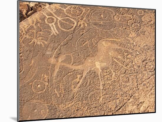 Bushmen Petroglyphs, Twyfelfontein Rock Art Site, UNESCO World Heritage Site, Damaraland, Namibia-Kim Walker-Mounted Photographic Print