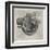 Bushnell's "Turtle" the First Submersible Craft to be Used in Action Attacking a British Ship-Pesce-Framed Art Print