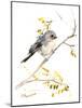 Bushtit-Suren Nersisyan-Mounted Art Print