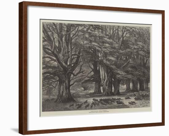 Bushy Brattley During Beechmast-null-Framed Giclee Print