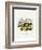 Bushy-Tailed Woodrat-null-Framed Giclee Print