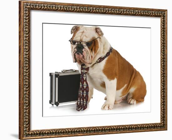 Business Dog - English Bulldog Male Wearing Tie And Glasses Sitting Beside Briefcase-Willee Cole-Framed Photographic Print