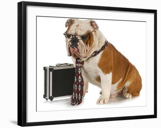 Business Dog - English Bulldog Male Wearing Tie And Glasses Sitting Beside Briefcase-Willee Cole-Framed Photographic Print