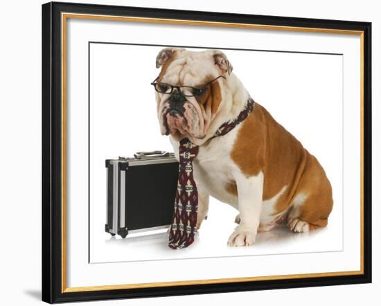 Business Dog - English Bulldog Male Wearing Tie And Glasses Sitting Beside Briefcase-Willee Cole-Framed Photographic Print