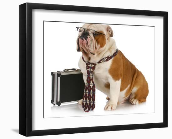 Business Dog - English Bulldog Male Wearing Tie And Glasses Sitting Beside Briefcase-Willee Cole-Framed Photographic Print