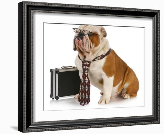 Business Dog - English Bulldog Male Wearing Tie And Glasses Sitting Beside Briefcase-Willee Cole-Framed Photographic Print
