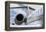 Business Jet-Mark Williamson-Framed Premier Image Canvas