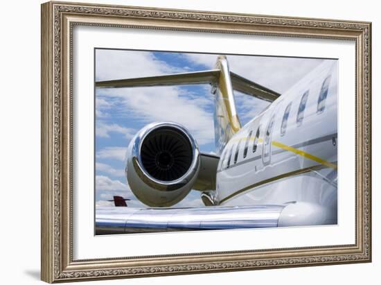 Business Jet-Mark Williamson-Framed Photographic Print