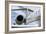 Business Jet-Mark Williamson-Framed Photographic Print