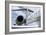 Business Jet-Mark Williamson-Framed Photographic Print