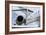 Business Jet-Mark Williamson-Framed Photographic Print