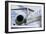 Business Jet-Mark Williamson-Framed Photographic Print