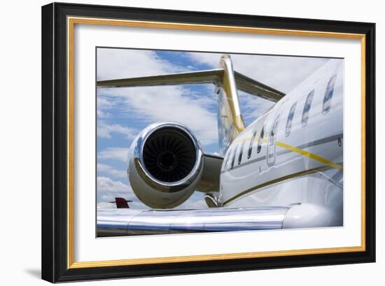 Business Jet-Mark Williamson-Framed Photographic Print