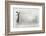 Businesswoman Standing on Ladder and Drawing Sketch on Wall-Sergey Nivens-Framed Photographic Print
