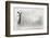 Businesswoman Standing on Ladder and Drawing Sketch on Wall-Sergey Nivens-Framed Photographic Print