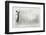 Businesswoman Standing on Ladder and Drawing Sketch on Wall-Sergey Nivens-Framed Photographic Print
