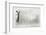 Businesswoman Standing on Ladder and Drawing Sketch on Wall-Sergey Nivens-Framed Photographic Print