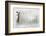 Businesswoman Standing on Ladder and Drawing Sketch on Wall-Sergey Nivens-Framed Photographic Print