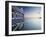 Busselton Pier at Dawn, Western Australia, Australia-Ian Trower-Framed Photographic Print