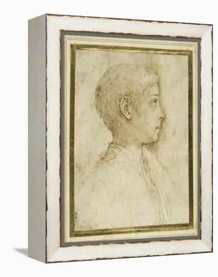 Bust of a Boy in Profile to the Right-Parmigianino-Framed Premier Image Canvas