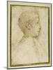 Bust of a Boy in Profile to the Right-Parmigianino-Mounted Giclee Print