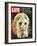 Bust of Alexander the Great, May 3, 1963-Dmitri Kessel-Framed Photographic Print