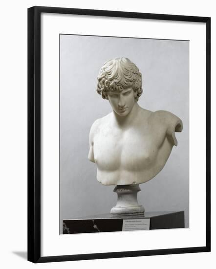 Bust of Antinous, Antinous Said Ecouen (117-138 Ad)-null-Framed Giclee Print