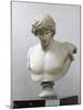 Bust of Antinous, Antinous Said Ecouen (117-138 Ad)-null-Mounted Giclee Print