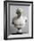 Bust of Antinous, Antinous Said Ecouen (117-138 Ad)-null-Framed Giclee Print