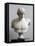 Bust of Antinous, Antinous Said Ecouen (117-138 Ad)-null-Framed Premier Image Canvas