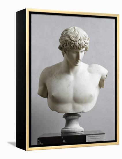 Bust of Antinous, Antinous Said Ecouen (117-138 Ad)-null-Framed Premier Image Canvas