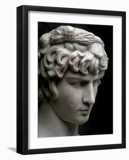 Bust of Antinous, Mid 2nd Century Ad-null-Framed Photographic Print