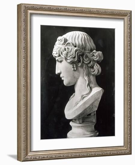 Bust of Antinous-Roman-Framed Giclee Print