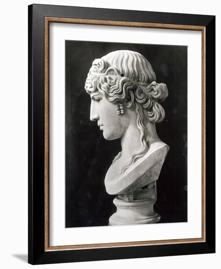 Bust of Antinous-Roman-Framed Giclee Print