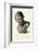 Bust of Aristotle-null-Framed Giclee Print