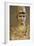 Bust of Athena. Roman Sculpture after Original of About 420 BC. Glyptothek. Munich. Germany-null-Framed Giclee Print