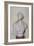 Bust of Canon Edward Finch, 1728-John Nash-Framed Giclee Print