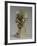 Bust of Elfrida Thornycroft, 1909-William Hamo Thornycroft-Framed Giclee Print