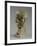 Bust of Elfrida Thornycroft, 1909-William Hamo Thornycroft-Framed Giclee Print