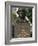 Bust of George Washington, George Washington University, Washington D.C., USA-Hodson Jonathan-Framed Photographic Print