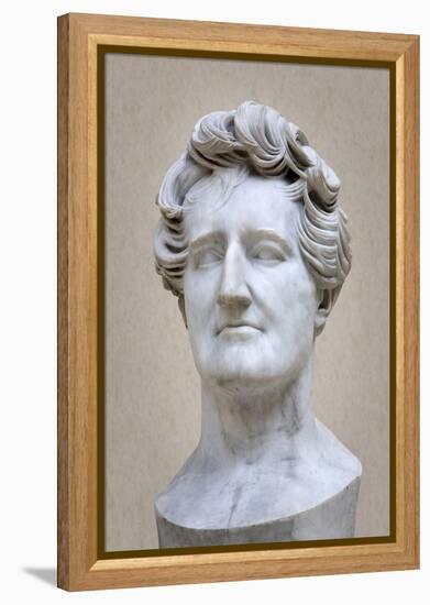 Bust of Georges Cuvier (1769-1832) (Marble)-Pierre Jean David d'Angers-Framed Premier Image Canvas