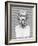 Bust of Homer, Ancient Greek Poet-George Cooke-Framed Photographic Print