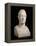 Bust of Marie-Joseph-Gilbert Du Motier, Marquis De La Fayette (1757-1834), 1829 (Marble)-Pierre Jean David d'Angers-Framed Premier Image Canvas