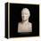 Bust of Marie-Joseph-Gilbert Du Motier, Marquis De La Fayette (1757-1834), 1829 (Marble)-Pierre Jean David d'Angers-Framed Premier Image Canvas