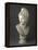 Bust of Paris, 1809 (Marble)-Antonio Canova-Framed Premier Image Canvas