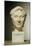 Bust of Pompey circa 60 BC-null-Mounted Giclee Print