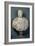 Bust of Publius Cornelius Scipio "Africanus" (237-183 BC)-null-Framed Giclee Print