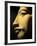 Bust of the 18th Dynasty Pharoah Akhenaten in the National Museum in Alexandria, Egypt-Julian Love-Framed Photographic Print